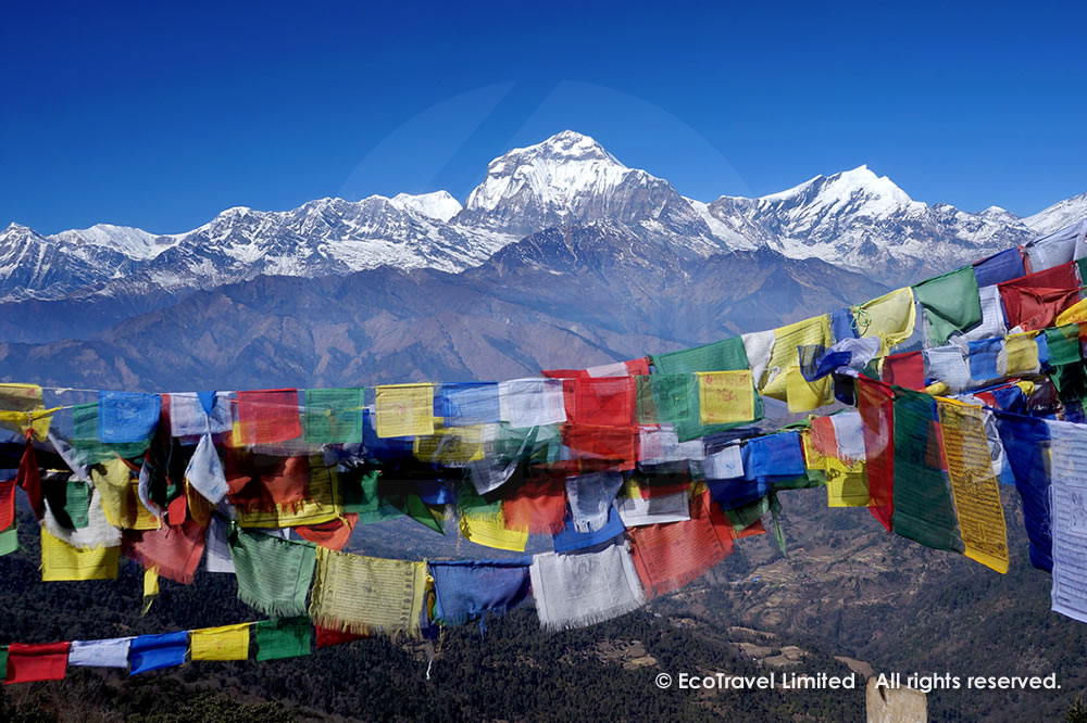 POONHILL 尼泊爾 (潘恩山) 健行之旅 | 2019年12月23日 - 12月30日(8日6晚) | 綠恒生態旅遊 Eco Travel