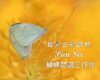 【免費講座】 攝 影 生 態 課 程 Poon  Sir 蝴蝶昆蟲研習坊 推介會(已完成)